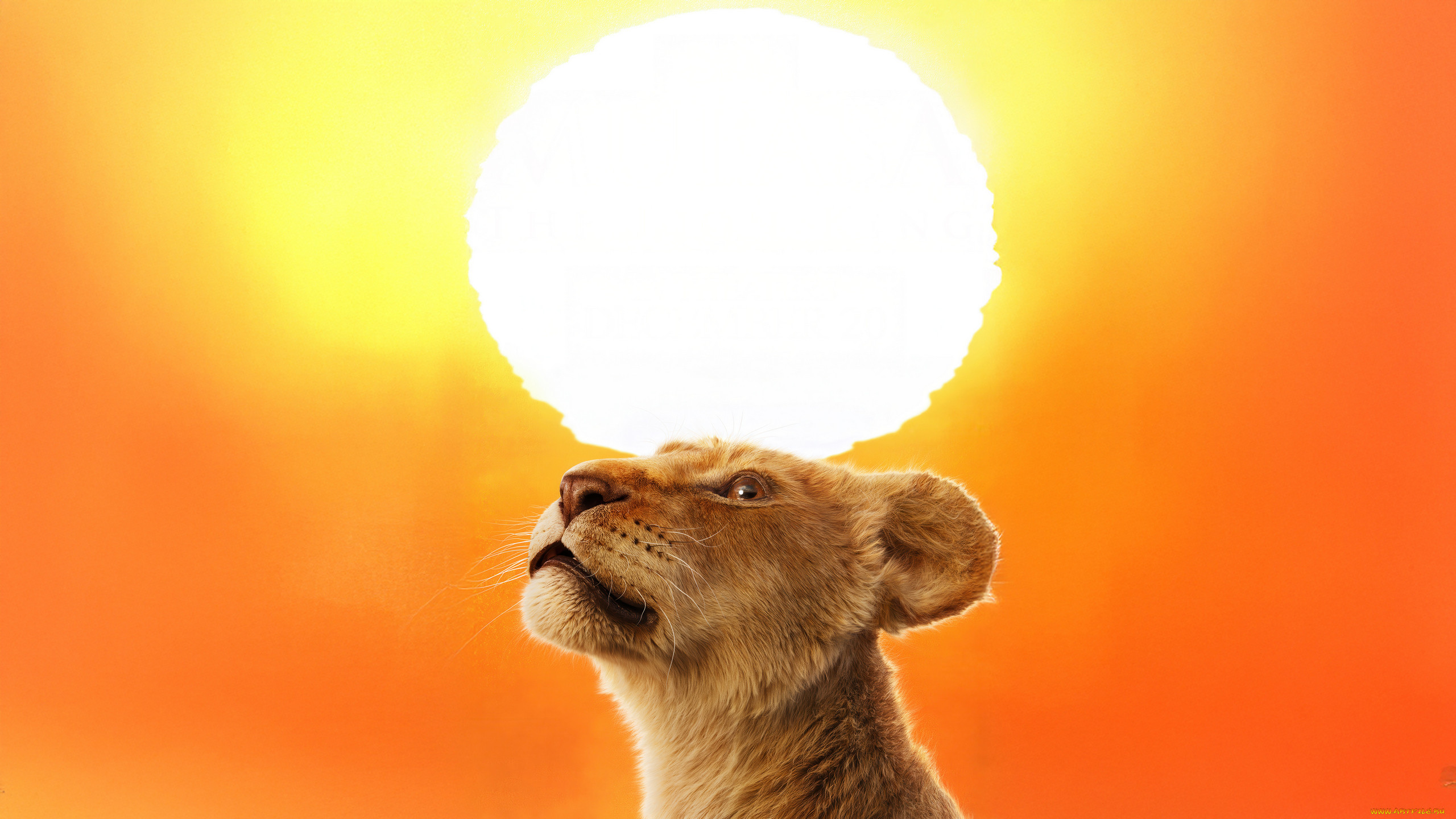 mufasa,  the lion king ,  2024 , ,  the lion king, , , , , , disney, oe, sarabi